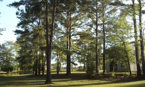 Investire a Fayetteville &#8211; Investimento sicuro negli USA
