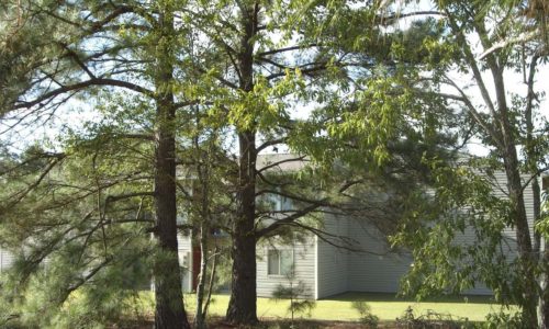 Investire a Fayetteville &#8211; Investimento sicuro negli USA