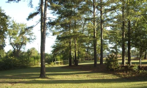 Investire a Fayetteville &#8211; Investimento sicuro negli USA