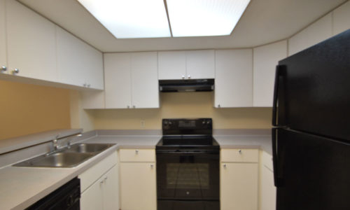 Investire a New Port Richey con una rendita del 7%