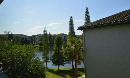 investimento Tampa USA